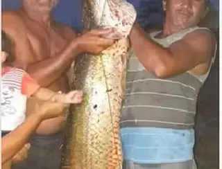 Pescadores fisgam pirarucu de mais de 50 kg em represa de Santana do Ipanema, AL