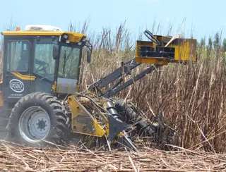 Governo comemora previsão de safra 23/24 da cana-de-açúcar, que deve superar 19 milhões de toneladas