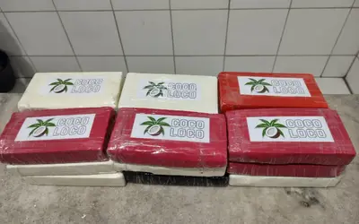Ação integrada prende homem que trazia 19 quilos de cocaína de São Paulo para vender em Maceió
